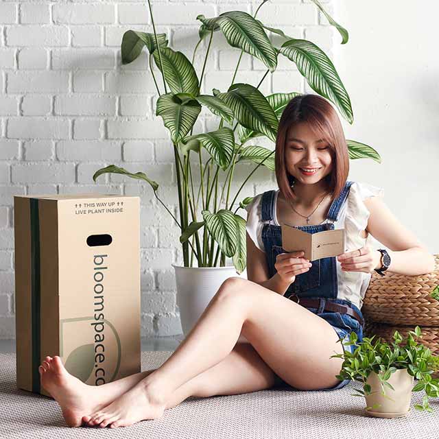 bloomspace.co